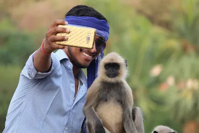 monkey taking selfie | Pet monkey, Monkeys funny, Monkey smiling