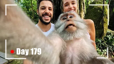 The $17K fight over a monkey selfie