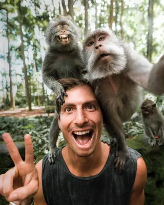 File:DIScott Monkey Selfie Wikimania 2014.JPG - Wikipedia