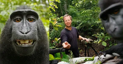 Monkey Takes a Selfie with Tourists in Bali, Indonesia! - YouTube