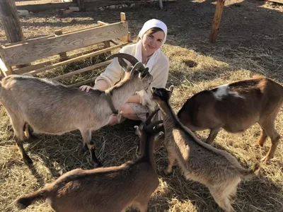 ✓ ЛУЧШАЯ КОРМУШКА ДЛЯ КОЗ!!! 🐐 Как сделать своими руками, или как избежать  потери кормов! 👍 - YouTube