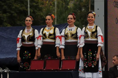 File:Male and Female Serbian national costume from Bukovica, Dalmatia, end  of XIX c.jpg - Wikimedia Commons