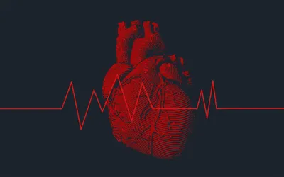 Для лечения аритмии предложили использовать энергию сердца - Индикатор