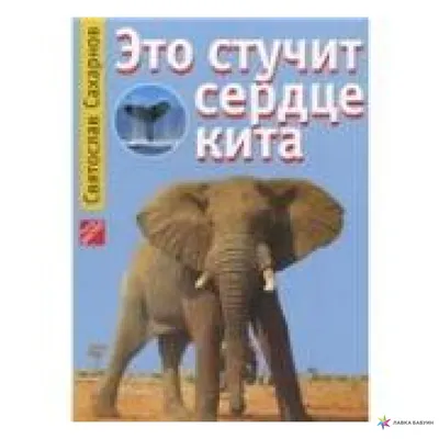 Музей рекордов и фактов ТИТИКАКА в Санкт-Петербурге: фото, видео, цены,  история, отзывы, как добраться