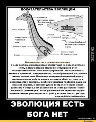 Адреса Москвы | Жираф