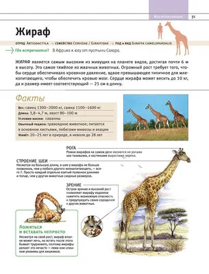 Жираф - король сердец!» — создано в Шедевруме