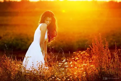 Обои на рабочий стол Длинноволосая девушка в белом платье, стоящая на  ромашковой поляне в лучах закатного солнца, автор Иван Балабанов, обои для  рабочего стола, скачать обои, обои бесплатно