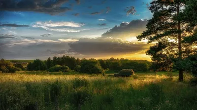 Обои на рабочий стол Машина с сеном едет по дороге в поле ранним утром,  фотограф Епишев Сергей, обои для рабочего стола, скачать обои, обои  бесплатно