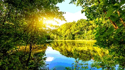 Лес солнце озеро - 72 фото
