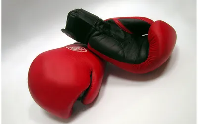 Рязанские боксеры в воскресенье устроят «Открытый ринг» » Рязанский спорт