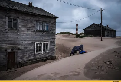 Деревню Шойна, расположенную в НАО, многие годы засыпает прибрежным песком.  Он заносит улицы и даже поглощает целые дома. Но жители все равно не  хотят... / эстетика ебеней :: деревня :: Ненцы :: Шойна - JoyReactor
