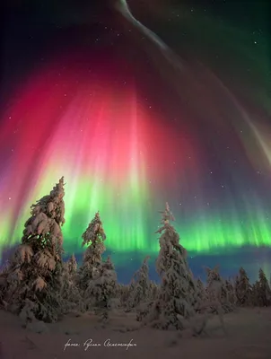 Северное сияние красивые фото - Northern Lights photo