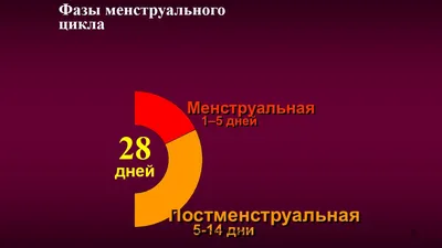 Месячные с кусками эндометрия: фото, причины появления