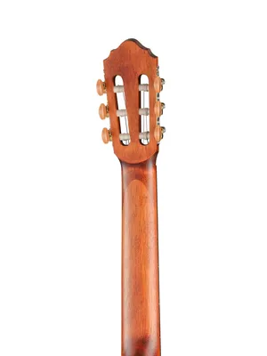 AC200-4/4-OP Classic Series Классическая гитара, массив ели. Cort купить в  Москве: цены, доставка, фото