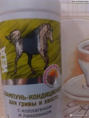 Stassek 750ml Equigold® Шампунь для лошадей Бесцветный| Horse-riding