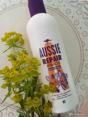 Шампунь Aussie Repair Miracle Shampoo - «Подарок от кенгуру» | отзывы