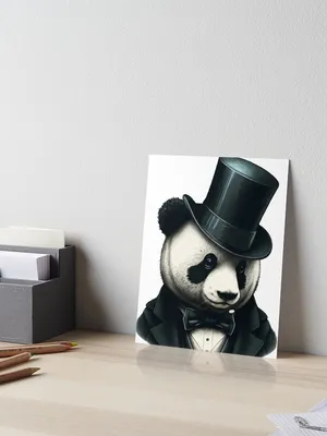 Panda Hat | Panda Stuff