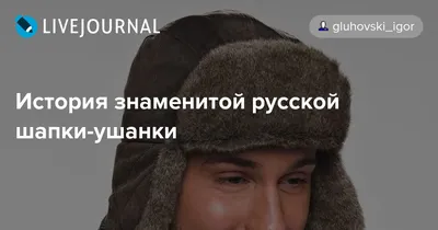 Почему чиновники и депутаты носят меховые шапки, что официальным лицам  носить зимой, история формовок и шапок-ушанок - 26 декабря 2022 - 72.ру