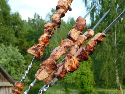 Шашлык по кавказски из свинины на мангале рецепт с фото пошагово - 1000.menu