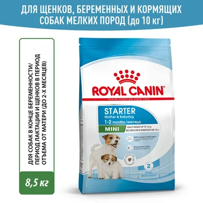 Корм для щенков ROYAL CANIN Starter мелких пород 8.5кг купить по цене 5400  ₽ с доставкой в Москве и России, отзывы, фото