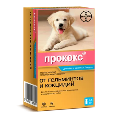 🥇710 р. – Bayer Прококс суспензия антигельминтик для собак и щенков 7,5 мл  купить в Калининграде с доставкой 🐈 Интернет-зоомагазин «КАТИКО»