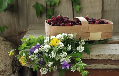 Обои ягоды, полевые цветы, лукошко, шелковица картинки на рабочий стол,  раздел еда - скачать