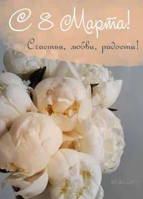 Купить открытку на 8 Марта и букеты цветов с доставкой в Москве