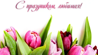 Розовая фотозона-баннер с гирляндой из шаров на 8 марта - купить в Москве |  SharFun.ru