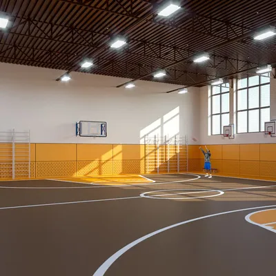 Дизайн спортивного зала школы - студия интерьера Модус | Дизайн школьной  библиотеки, Архитектура школ, Архитектура