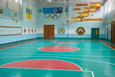 Проекты партии - Праздник спорта: в Подсосенской средней школе открыли  модернизированный спортзал