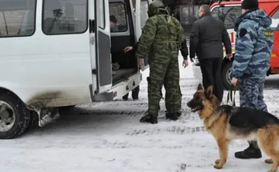 Школы эвакуировали из-за писем о минировании в Хабаровске и Красноярске —  РБК