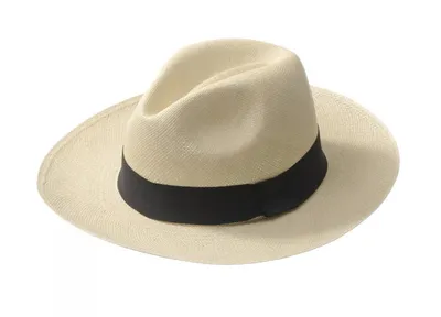 Panama hat Шляпа-панама - Classic Natural - Бренды De Punta En Blanco