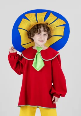 Детский костюм карнавальный для мальчика Незнайка Карнавалия чудес 2483052  купить за 1 279 ₽ в интернет-магазине Wildberries
