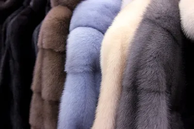 Основные виды меха и их особенности - Sarigianni Furs