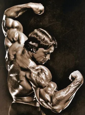 Arnold show stopper pose | Бодибилдинг мотивация, Арнольд шварценеггер,  Бодибилдинг