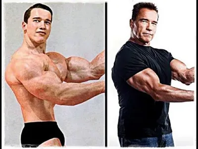 Арнольд Шварценеггер / Arnold Schwarzenegger страница 177 - Бодибилдинг  форум IronFlex - тренируйся правильно