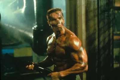 Обои арнольд шварценеггер, Коммандос, arnold schwarzenegger, commando на  рабочий стол