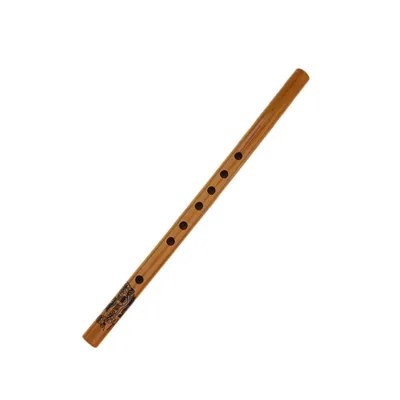 5 пьес Китайская бамбуковая флейта Сяо Деревянный духовой музыкальный  инструмент купить недорого — выгодные цены, бесплатная доставка, реальные  отзывы с фото — Joom