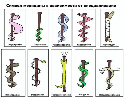 Значок Чаша со Змеей - Гиппократова Чаша, Символ Медицины, Фармацевтов,  Медицинских Работников (ID#287103431), цена: 585 ₴, купить на Prom.ua