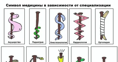 Брошь \"Чаша Гиппократа\" в подарочной коробке, чаша со змеей, медицинская, символ  медицины, подарок доктору, медицинскому работнику, сосуд гигеи - купить с  доставкой по выгодным ценам в интернет-магазине OZON (892429462)