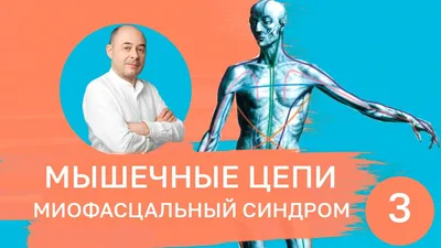 Онемение рук и лестничные мышцы — Therapymassage.gr