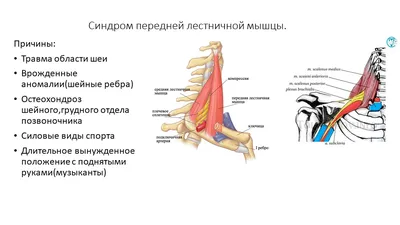 Клиника мягкой мануальной терапии «Спина здорова» доктора Власенко