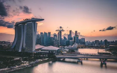 Сингапур для предпринимателей: какие стартапы могут «выстрелить» на рынке |  РБК Тренды