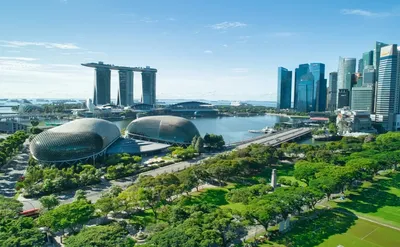 Зеленая сторона Сингапура. Что посмотреть в технологичной экостолице мира |  Ассоциация Туроператоров