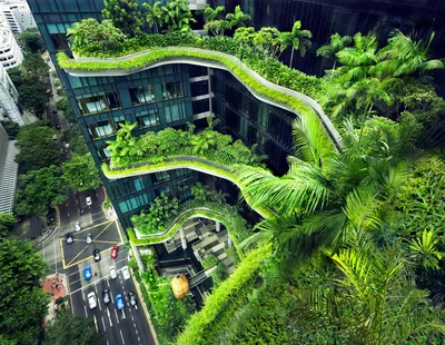 Как Сингапур прокладывает путь к созданию более зеленой городской среды -  Decor Design