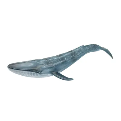 Фигурка животного Детское Время Синий кит купить по цене 878 ₽ в  интернет-магазине Детский мир