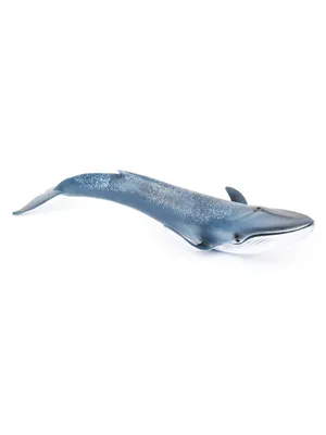 Имитация морского Кита, настольное украшение, игрушка, подарок на день  рождения, синий кит, модель игрушки, модель для девочек и мальчиков |  AliExpress