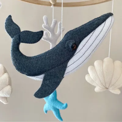 Синий кит — владыка морей | Книга животных | Дзен