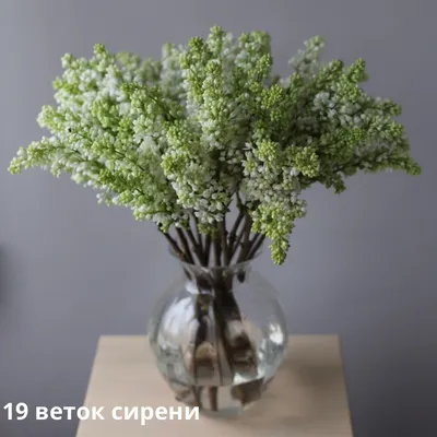 Букет из сирени в вазе - заказать доставку цветов в Москве от Leto Flowers