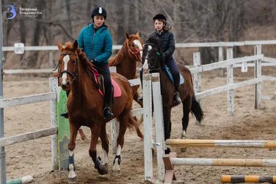 Конный спорт – секунды, ради которых стоит жить — Yakutia-daily.ru